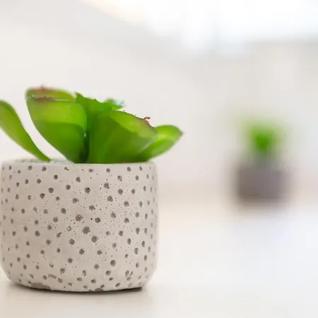 Chill & Sun - Terrasse Exterieure - Parking - Wifi - 4p * Amiens